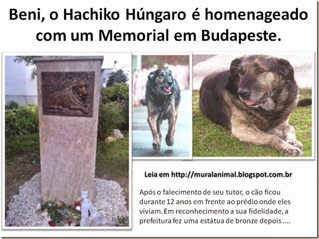 Beni o Hachiko Húngaro é homenageado com