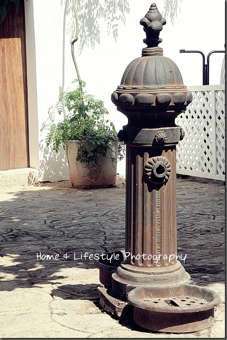 Home & Lifestyle IMG_1492a-1