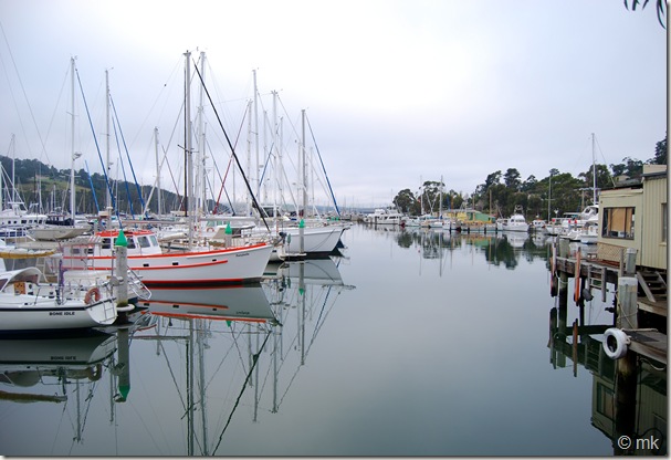 DSC_0993 DSC_0993