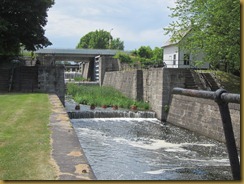 IMG_1756 IMG_1756