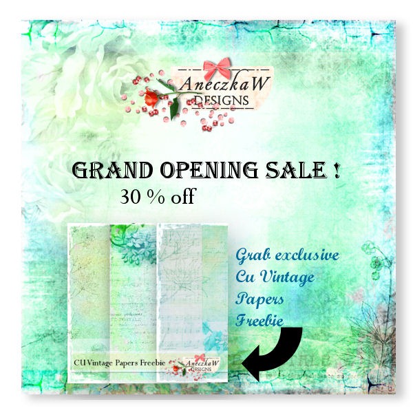 aneczkaw_opening_sale_graphic