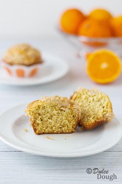 [Orange-Chia-Seed-Muffins-24.jpg]