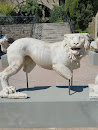 Marmor Lion