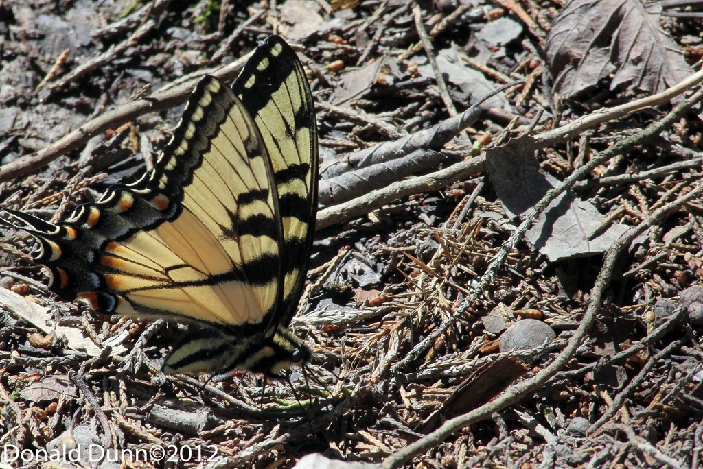 [120324_untitled_05%255B4%255D.jpg]