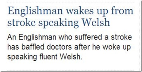 the horror the horror