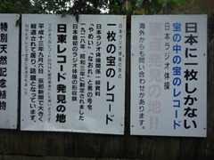 DSC05333 DSC05333
