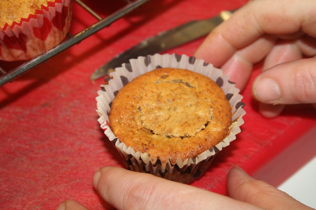 [CUPCAAKES2-0903.jpg]