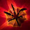 selection-253.jpg