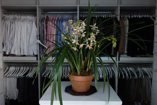 I carried the orchid theme throughout the house – there were in my dressing room.