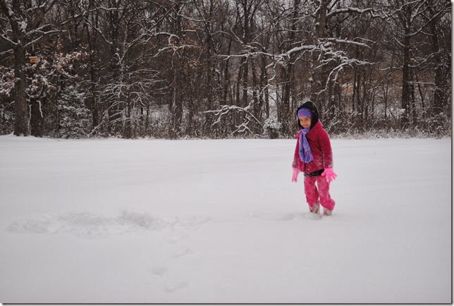 DSC_0029 DSC_0029