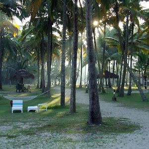 Marari Beach Resort