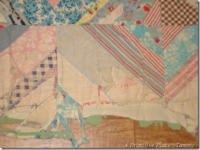 A Primitive Place ~Tammy
