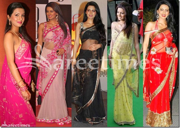 Geeta_Basra_Sarees