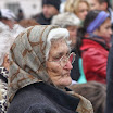 IMG_8246.jpg