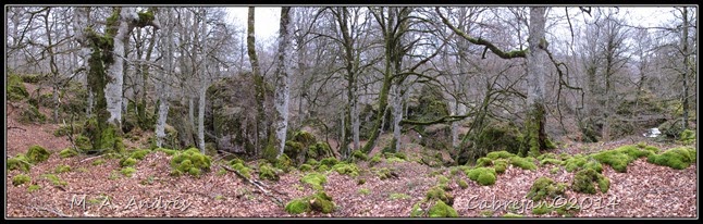 pano1 pano1