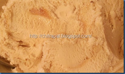 Chitra Pal Haagen Daz Dupe Sea Salt Caramel Truffle Chitra Pal Haagen Daz Dupe Sea Salt Caramel Truffle