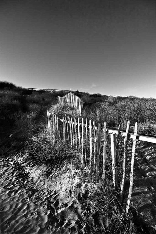 [Sand-Dune-Fencing-2---Mono%255B4%255D.jpg]