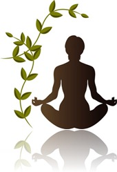Yoga & Meditation