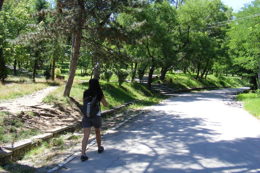 DSCF9659.JPG