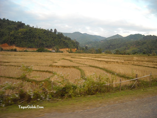 [DSCN81445.jpg]