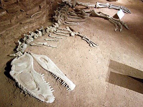 [dinosaurios%2520patagonia1%255B4%255D.jpg]