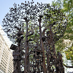 DSC_9365.jpg