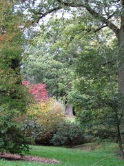IMG_0645