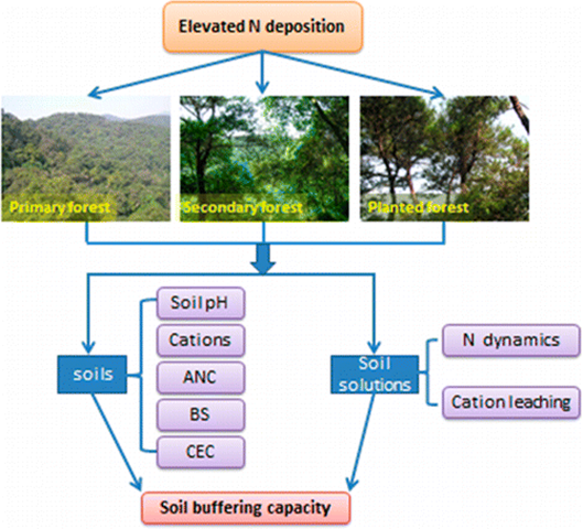 Diagram showing the chemical effect of nitrogen fallout on forest soil buffering capacity. Long-term N addition significantly accelerates soil acidification and decreases soil buffering capacity in primary forests. Graphic: Xiankai, et al., 2015