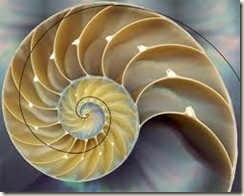 Fibonacci01 Fibonacci01