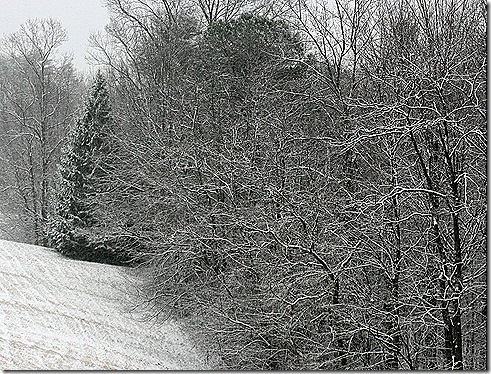 Field_Snow_Feb8