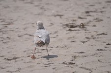 DSC_0641.JPG