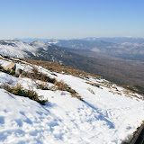 IMG_9973.JPG