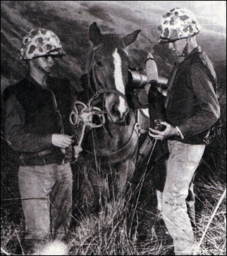 Sgt-Reckless-MCRD-SDMHS-3-of-4WEB