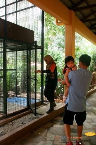 Langkawi Wildlife Park Langkawi Wildlife Park