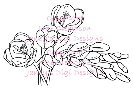 [Freesia%2520-%2520Watermarked%2520-%2520Blog%255B2%255D.jpg]