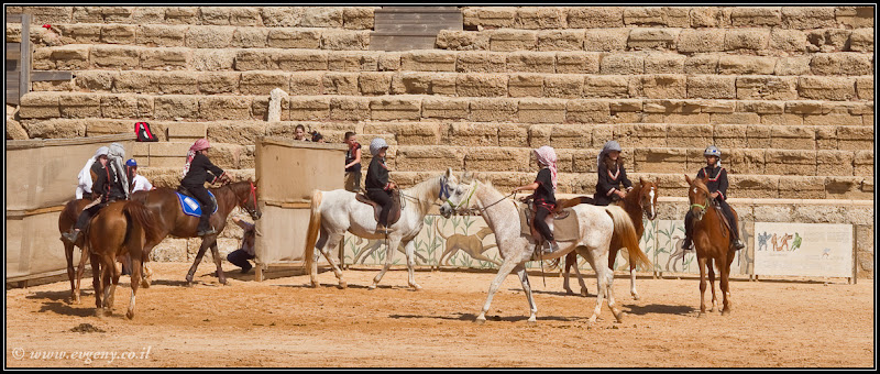 Фото: Кейсария – Конное шоу (foto il  шоу шарон и шфела фото путешествия кейсария братья наши  30%252520Caesaria%25252C%252520Horses 25)
