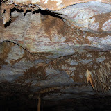 DSC_7100.JPG