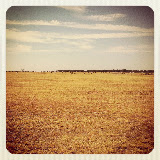 "Summer heat in Oklahoma, July 2012" - copyright Katie Moore