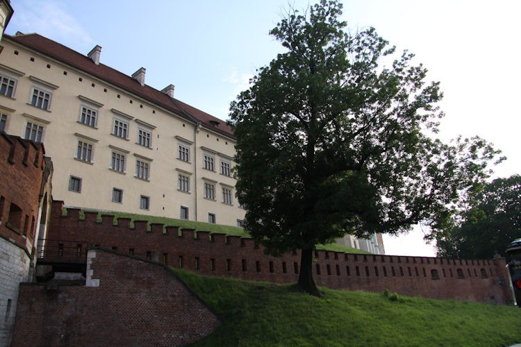 [IMG_49695.jpg]