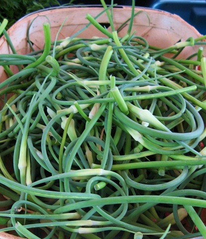 [garlic%2520scapes%2520taliaferro%255B8%255D.jpg]