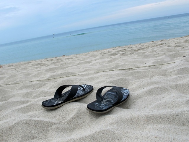 [IMG_54183.jpg]