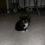 DSCN7697.jpg DSCN7697.jpg