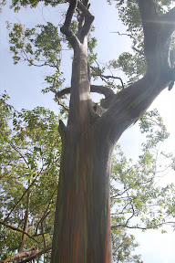 DSC_0895.JPG