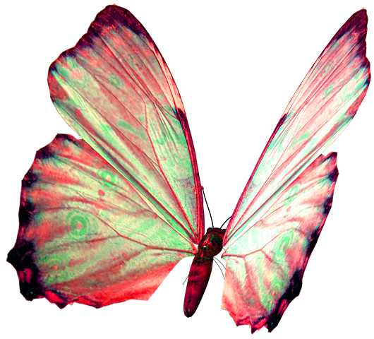 [tangie_wonderland_butterfly%255B4%255D.png]