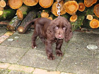Fenna op verkenning 1