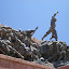 DSC01690.JPG