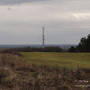 dsc05324.jpg