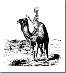 camel camel
