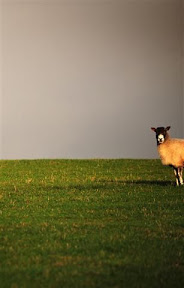 Peak District  (22).JPG