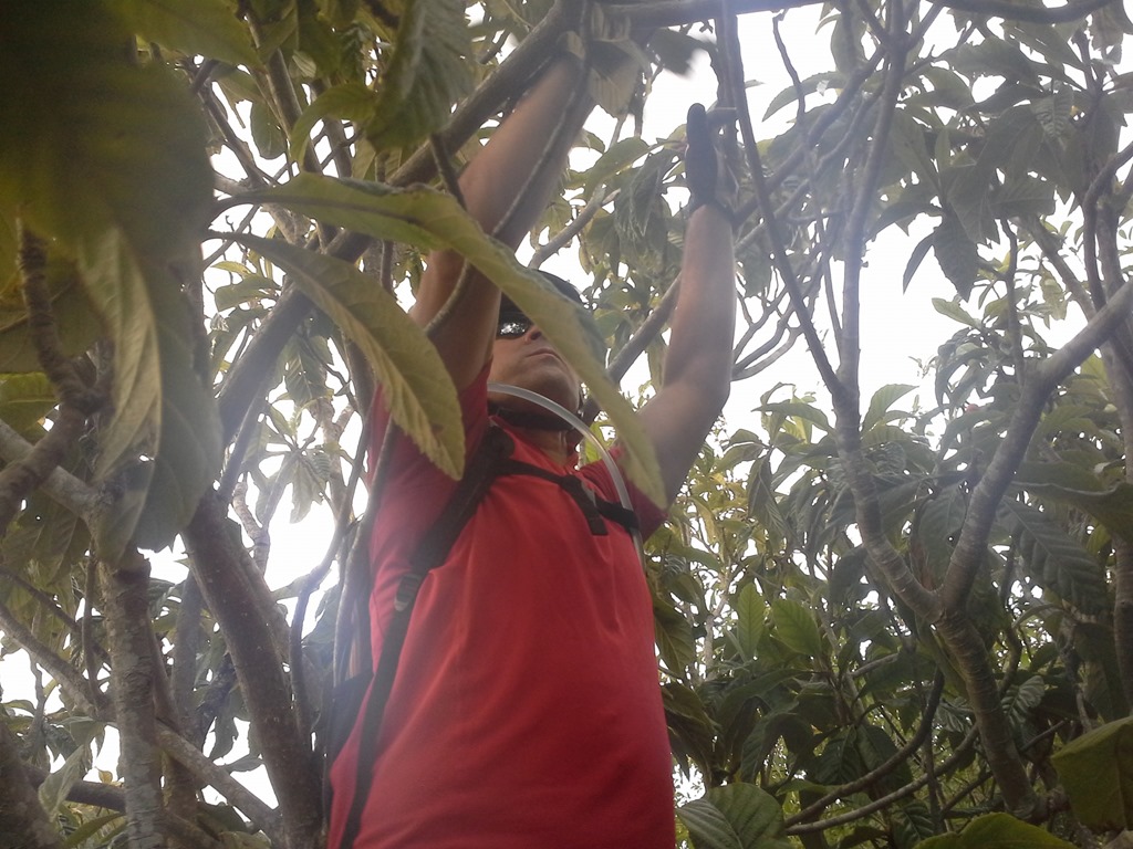 [20130619_193257%255B4%255D.jpg]